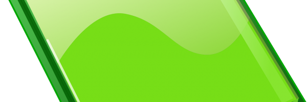 I green pass possono essere conservati dai datori pubblici?