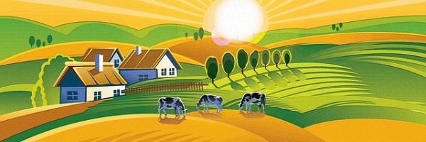 Per la prima volta il censimento generale dell'agricoltura si potrà fare nei C.A.A.